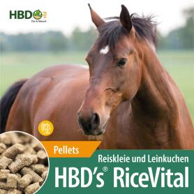 HBDS Futter RICEVITAL für Pferde 10kg