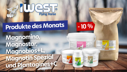 iWEST Produkte des Monats