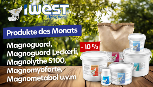 iWEST Produkte des Monats