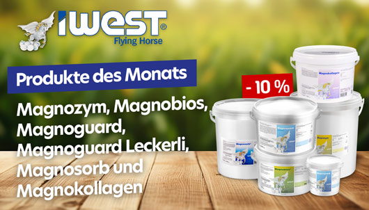 Aktion: IWEST Produkte des Monats