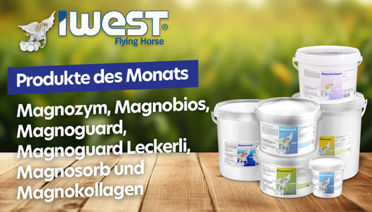 Aktion: IWEST Produkte des Monats