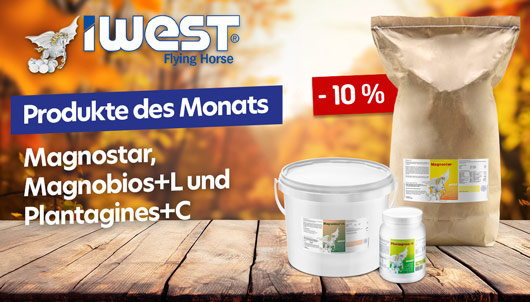 Aktion: Produkte des Monats IWEST