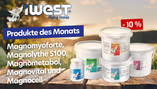 Aktion: IWEST Produkte des Monats September