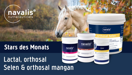 Aktion: Produkte des Monats Navalis