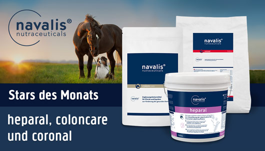 Aktion: Produkte des Monats Navalis