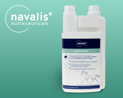 Navalis gastrocare